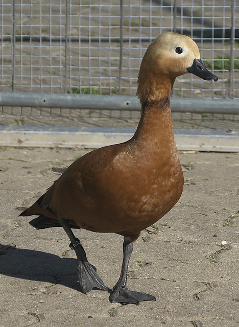 这位