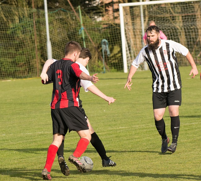 斯图尔特无 斯图尔特无