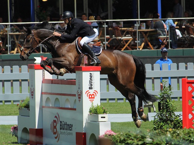 进一步促进 进一步促进