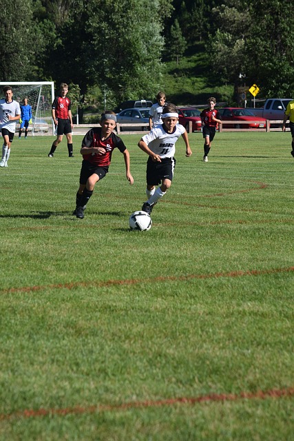 特的技战术 特的技战术