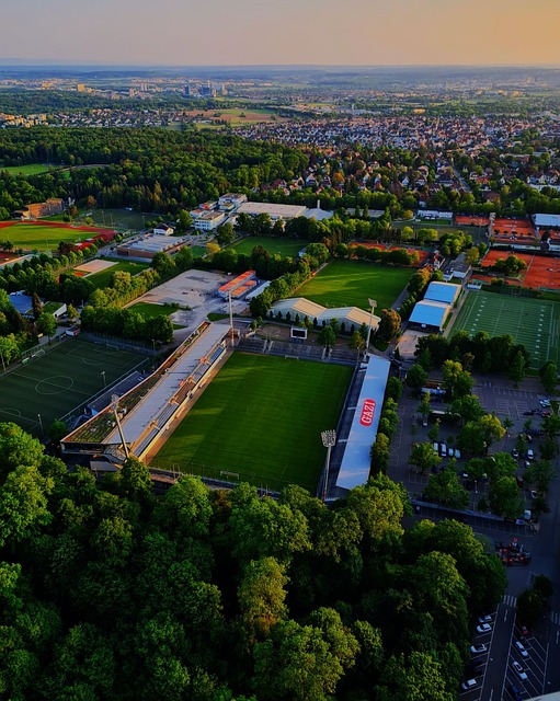 他也习惯了 他也习惯了