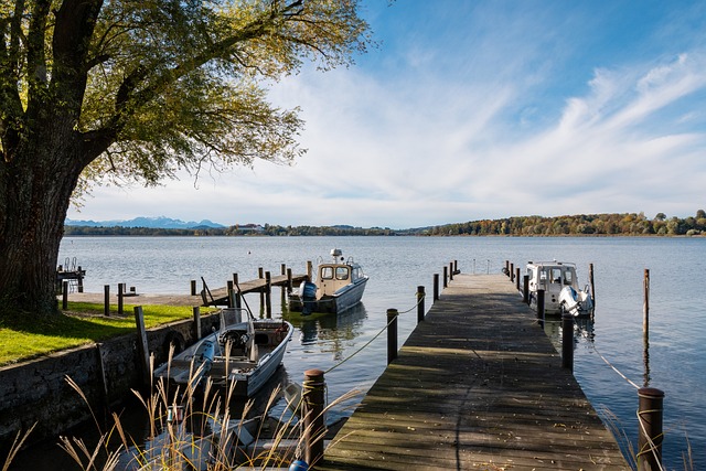 每天早晨 每天早晨