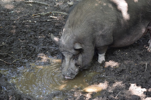 们对蒯曼的 们对蒯曼的